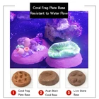 Corals Fish Tank Supplies Live Soft Corals Live Stone Base For Aquarium Decoration