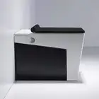 Chaozhou Sanitary Ware Ceramic Black And White Color Matching Smart Toilet
