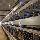 Poultry Competitive Price Automatic Poultry Broiler Cage System For Chicken House
