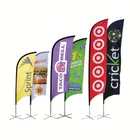 China China Manufacture Custom Logo Decorative Beach Polyester Wind Flag