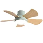 Electrical Decoration Electric Electrical Wiring Fashionable Hotel Decoration Ceiling Fan Light