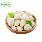 2021 Fresh New Crop Chinese Wholesale Garlic Peeled Garlic In Bulk For Import/export In Low Price