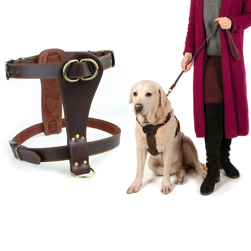 soft leather dog harness