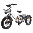 Tricycle Electric Bike Factory New Design Direct Sale Adult Electric Tricycle Cheap Price Bike With 3 Wheels