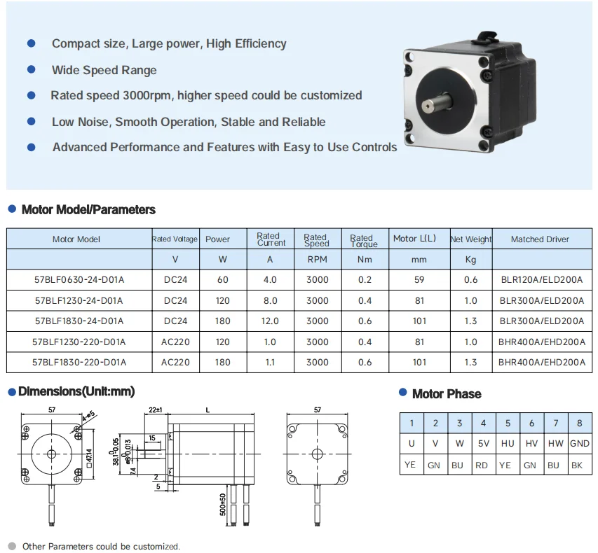 Bldc Motor, 48V, 24V, 110V, 220V - detail 20
