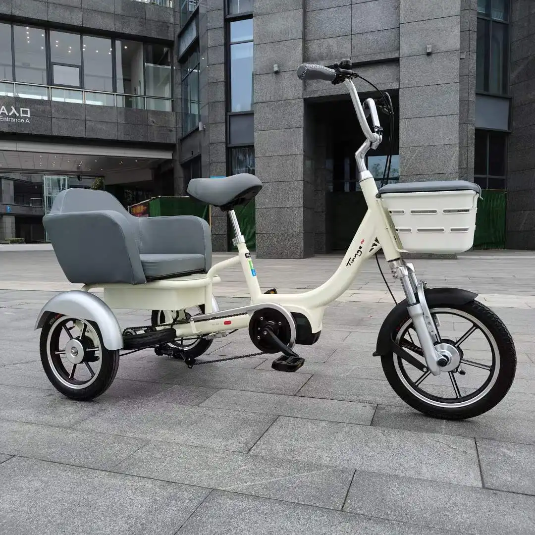 Oem Custom Adult Tricycle Bicycle Three Wheels 20 Inch Bike 3 Wheel