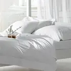 Used Quilt Comforter Luxury 5 Star Hotel/durable Home Used Polyester Comforter/duvet/quilt