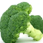 China Fresh Broccoli Green With Lower Price