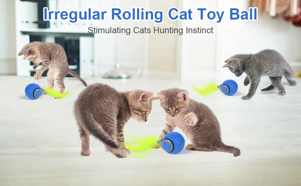 cat toy ball