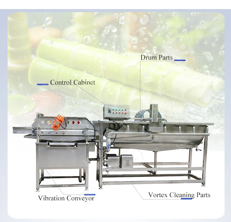 Automatic French Fries Washing Machine for Vegetables Drying Function-Cleaning Red Chilli Stone Dust Vortex Fruit Mushroom Ozone details