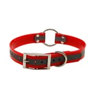 Collar Chinese Manufacturer Supply Classic Nylon Dog Pet Collar With Buckle Closure