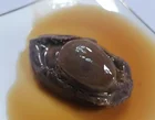 Abalone Online Abalone Price Cooking Abalone For Sale Live Abalone Abalone Online