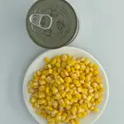 Corn Corn China Manufacturer Wholesale Cheap Cream Kernel Canned Sweet Corn Cans
