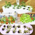 Plant Soilless Cultivation Seedling Block Nutrition Plant Sponge 10 Pieces/set Soil Block