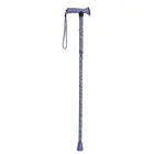 Direct Sale 5 Section T-handle Retractable Non-slip Outdoor Trekking Pole