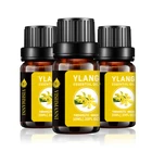 Oil Massage Private Label Essential Oils Pure Private Label OEM Aroma Ylang Essential Oil Body Massage Oil