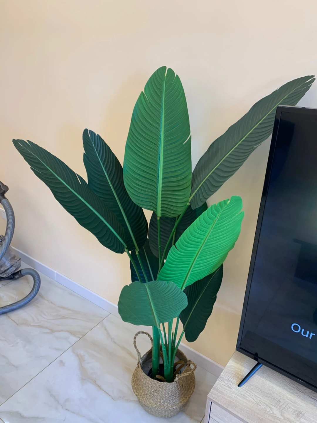 Artificial Greenery Travelers Plant Decorative Bonsai Artificial Tree