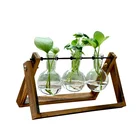 Wooden Clear Glass Wooden Planter Bulb Vases Logo/wood Craft Crates