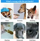 Pet Quick Pet Test Dog Quick Test Kit Vet Chw Ag Rapid Test