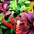Plant 3D Artificial Plant Wall Hanging Changeable Internal Artificial Plant Decoration Wall Decorations