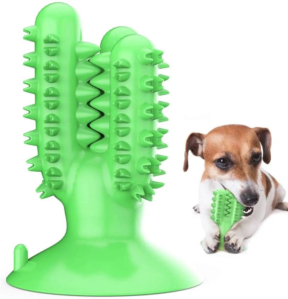 dog toothbrush dental stick