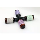 Wholesale Customized Good Quality Clear And Conditioner Bottle Shampoo Hair For Men