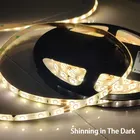 Led Strip Led 5m Led Strip Europe Hot Sale 12V 5M 300LEDs 5050 SMD White Light LED Strip Kit