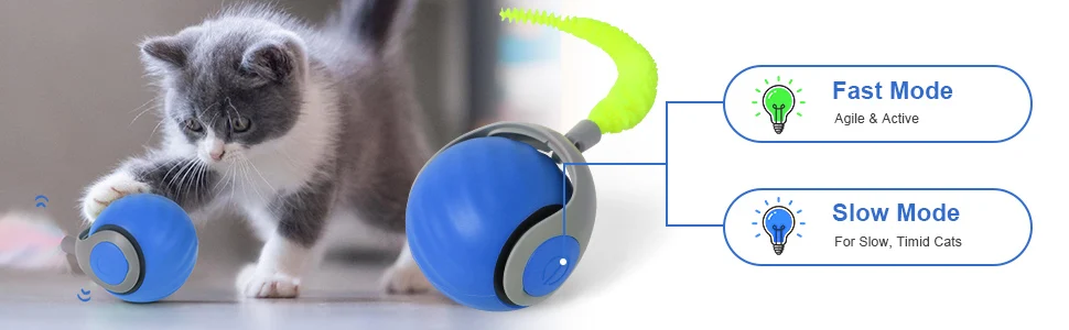 cat toy ball
