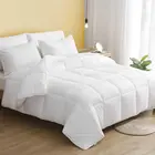 Polyester Comforter Bedding Thickening Warm Quilt Hotel Customizable Microfiber Polyester Quilted Duvet Comforter