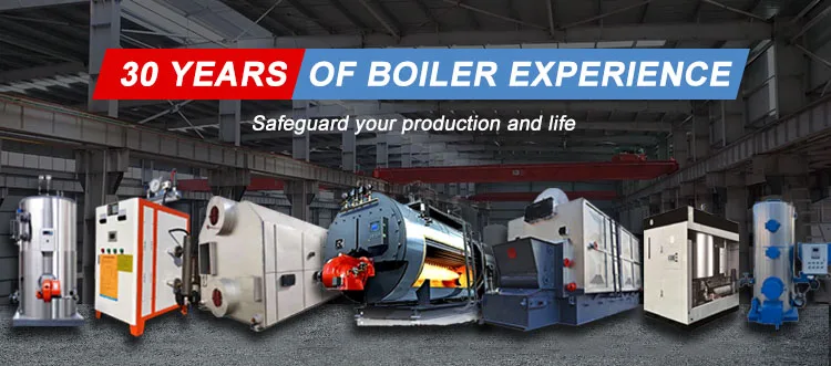 Steam Boiler, 220 V, Natural Circulation - detail 2