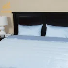 Blue Bedding Luxury Home Hotel Blue Tencel Special Design Bed Sheet Sets 3 Pieces Bedding Set