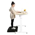 Standing Desk Electric Stand Up Desk Adjustable
