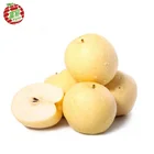 Pear Pear 2020 Newly Launched Chinese Golden Pear For Wholesaler