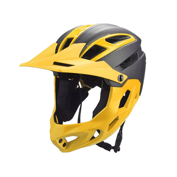 custom visor for bike