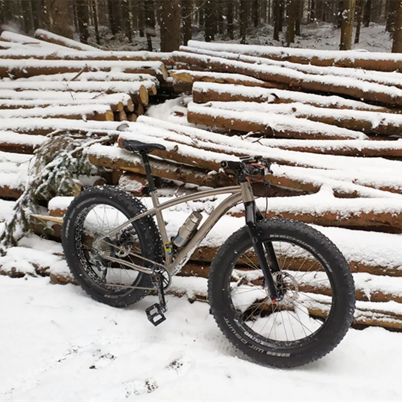 titanium fat bike