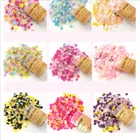 Party Popper Party Popper Wholesale Mixed Color Birthday Wedding Party Popper Push Pop Confetti Paper