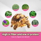 Food Turtle Food Can Increased Turtle Color Delicious And Nutritious Cheap Turtle Feed