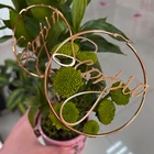 Hoop New Design Custom Name Leo Bamboo Zodiac Sign Hoop Earrings For Women