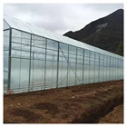 Hot Sale Hot-dip Galvanized Steel Intelligent Glass Greenhouse For Tomato Growing