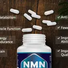 NMN Capsule High Quality Healthcare Products Anti-aging Anti-oxidant Capsule OEM Or READY-MADE NMN Supplements