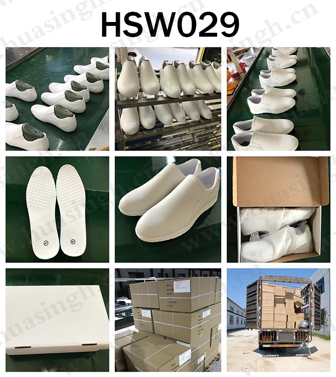 HSW029