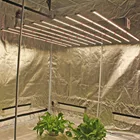 Bar Led Grow Bar Growlights Bar SuLight Commercial Lm301b/lm561c LED Grow Light Bar QB288 V2