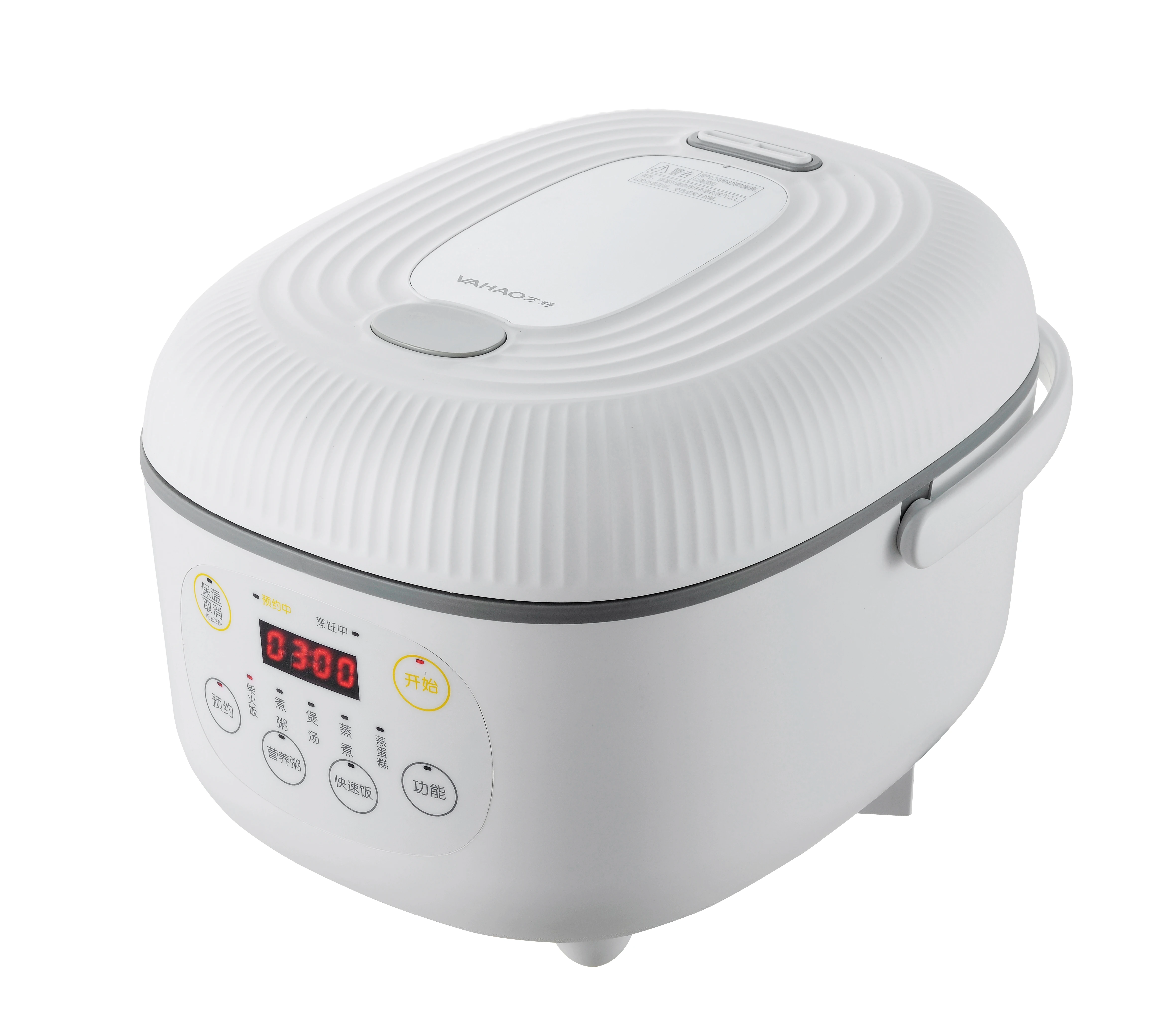 rasonic rice cooker