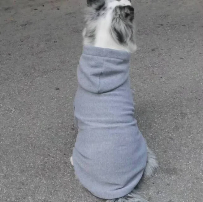 Professional Factory Customize Blank Big Dog Dress Clothes Hoodie