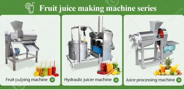 Fruit pulping machine_02