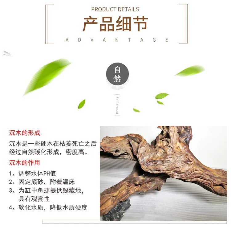 Wholesale Aquatic Plants Landscaping Packaging Export Modeling Fish