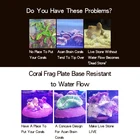 Corals Decoration Fish Tank Supplies Live Soft Corals Live Stone Base For Aquarium Decoration