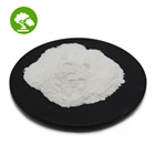 Capsicum Natural Capsicum Extract Pure Capsaicin Powder