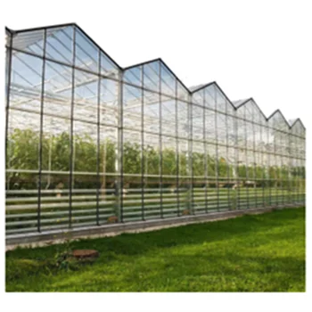 Modern High Transmittance Polycarbonate Glass Multi-Span PC Sheet Greenhouse