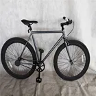 Single Speed Bike Grey Color Flip Flop High Quality Adult Single Speed Racing Fixie Bike Fixed Gear